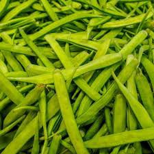 15 Pcs Chinese Bean Seeds Contains Rich Oil Green Chinese Vegetables