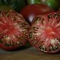 20 Pcs Cherokee Cherry Tomato Seeds