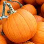 8 Pcs Sweet Baby Pumpkin Seeds