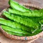 3 Pcs Winged Bean Seeds