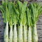 30 Pcs Chinese Green Asparagus Lettuce Seeds