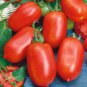 20 Pcs Red Banana Tomato Seed Organic Heirloom Vegetables