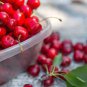 20 Pcs Heirloom Chinese Red Sweet Cherry Fruit Seeds