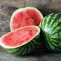 20 Pcs Heirloom Giant Baby Sweet Juicy Watermelon
