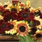 15 Pcs Bohemian Phapsody F1 Sunflower Seeds