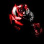 50 Pcs The Rarest White Blood Rose Plant Flower True Seeds
