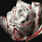 50 Pcs The Rarest White Blood Rose Plant Flower True Seeds
