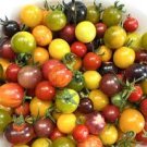 100 Pcs TM Mixed Heirloom 9 Types Edible Cherry Tomato Seeds 100 Pcs TM Mixed Heirloom 9 Types Edible Cherry Tomato Seeds