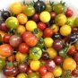 100 Pcs TM Mixed Heirloom 9 Types Edible Cherry Tomato Seeds