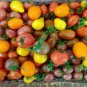 100 Pcs TM Mixed Heirloom 9 Types Edible Cherry Tomato Seeds