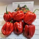 100 Pcs Hot Habanero Pepper Red Orange Carnatio Yellow Chocolate White Capsicum Chinense Seeds