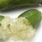20 Pcs Novel Finger Limes Citrus Pomegranate Bonsai Delicious Sweet Fruit Bonsai