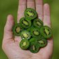 30 Pcs Heirloom Cocktail Miniature Kiwi Kiwiberry Berry Hardy Actinidia Arguta Fruit