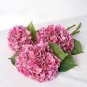 15 Pcs Hydrangea Light Pink Big Blooms Flowers