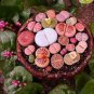 10 Pcs Lithops Mixed 9 Types Succulent Seeds