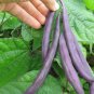 15 Pcs Black Garden Bean Phaseolus vulgaris Hybrid Vegetable Bonsai