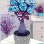 2 Pcs Adenium White Petals Blue Stripes Flower Bonsai Seeds