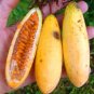 30 Pcs Banana Passion Fruit Seeds