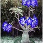 2 Pcs Adenium Dark Blue Petals Light Pink Eye Bonsai Flower Seeds