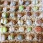 10 Pcs Mixed 10 Types of Lithops Succulent Seeds