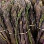 6 Pcs Lucid Asparagus Chinese Herbs Seeds