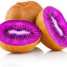50 Pcs Rare Heirloom Organic Purple Kiwi Fruit Seeds