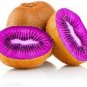 50 Pcs Rare Heirloom Organic Purple Kiwi Fruit Seeds