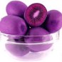 50 Pcs Rare Heirloom Organic Purple Kiwi Fruit Seeds