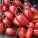 150 Pcs Small Pink Banana Tomato Seeds Non-Gmo Heirloom Organic Vegetables 150 Pcs Small Pink Banana Tomato Seeds Non-Gmo Heirloom Organic Vegetables