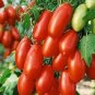 300 Pcs Middle Red Banana Tomato Seeds Non-Gmo Heirloom Organic Vegetables