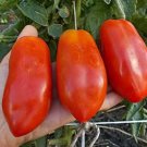 300 Pcs French Liz Red Long Tomato Seeds Organic Non-Gmo Heirloom Tomato 300 Pcs French Liz Red Long Tomato Seeds Organic Non-Gmo Heirloom Tomato