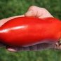 300 Pcs French Liz Red Long Tomato Seeds Organic Non-Gmo Heirloom Tomato