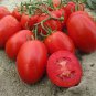 300 Pcs Middle Red McCullough Tomato Seeds Non-Gmo Heirloom Organic Vegetables