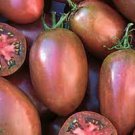 250 Pcs Purple Rose Dwarf Tomato Non-gmo Heirloom Fruits