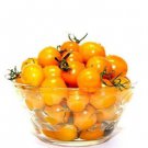 200 Pcs Tomato Yellow Skin Red Top Middle-sized Fruit Seeds