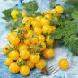 200 Pcs Tomato Yellow Skin Red Top Middle-sized Fruit Seeds