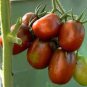 200 Pcs Tomato Blackish Purplish Red Big Fruit Vegetables Seeds