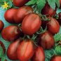 200 Pcs Tomato Blackish Purplish Red Big Fruit Vegetables Seeds