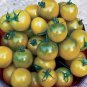 200 Pcs Tomato 'green grape' Sweet Fruit Seeds