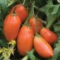 100 Pcs Tomato 'mango' Orange Fruit Vegetable Seeds