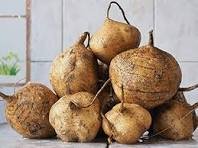 20 Pcs Pachyrhizus Seeds