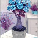 2 Pcs Desert Rose Adenium Seeds Sky Blue Double Petals with White Edge Flowers