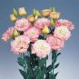 100 Pcs Eustoma Seeds