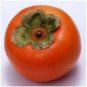 20 Pcs Rare Persimmon Seed Organic Non-GMO Juicy Succulent fruit trees