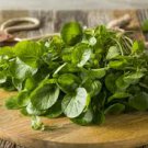 500 Pcs Watercress Greens Aqua Seeds