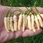 100 Pcs Aribibi Gusano Pepper Bolivian Chili Super Hot Caterpillar Pepper Seeds