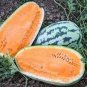 20 Pcs Watermelon Orange Rare Organic Fruit Seeds