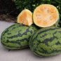 20 Pcs Watermelon Orange Rare Organic Fruit Seeds