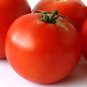 200 Pcs Tomato 'Qiuguang 88' Big Red Vegetables Seeds