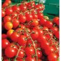 10 Pcs Sweetie Tomato Cherry Fruit Seeds